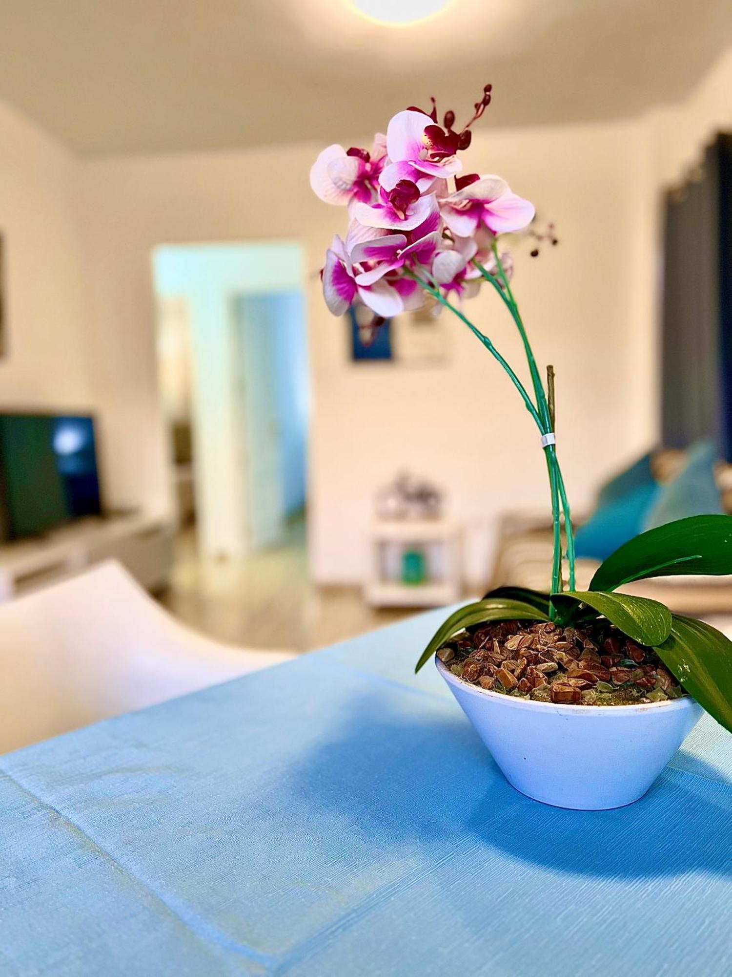 Apartamento Primavera *